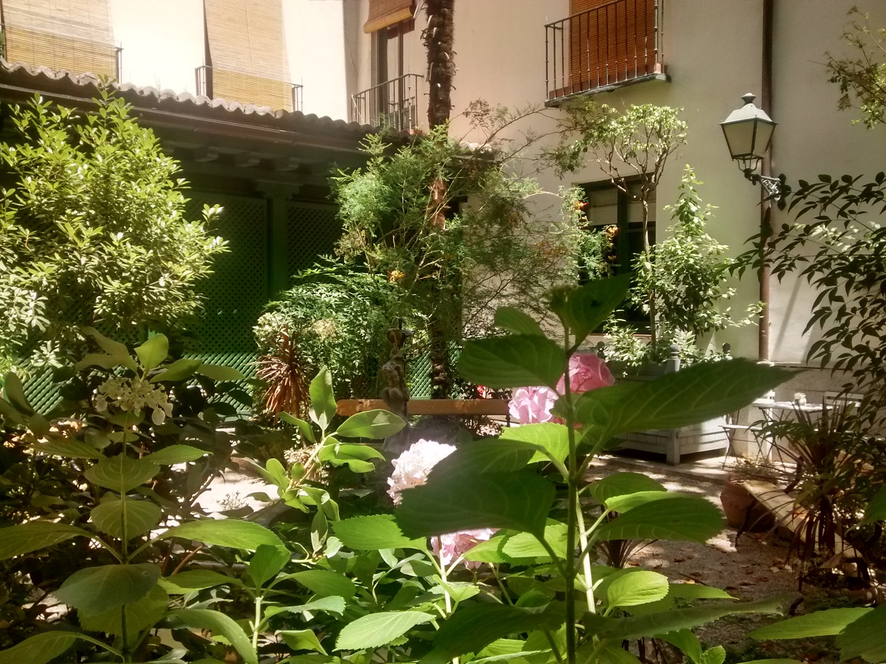cafe-jardin-romanticismo-museo-microplan