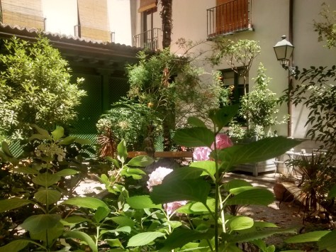 cafe-jardin-romanticismo-museo-microplan