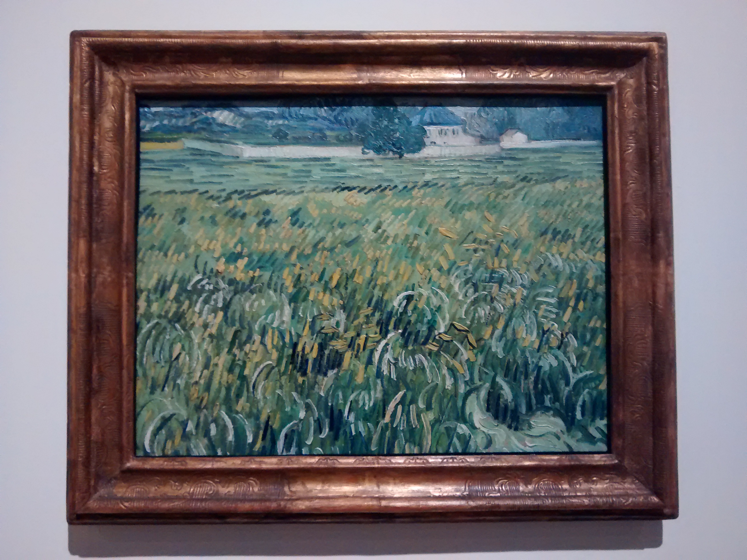 Vangogh-Duncan-Phillips