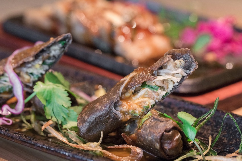 El-Buda-Feliz-rollitos