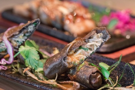 El-Buda-Feliz-rollitos